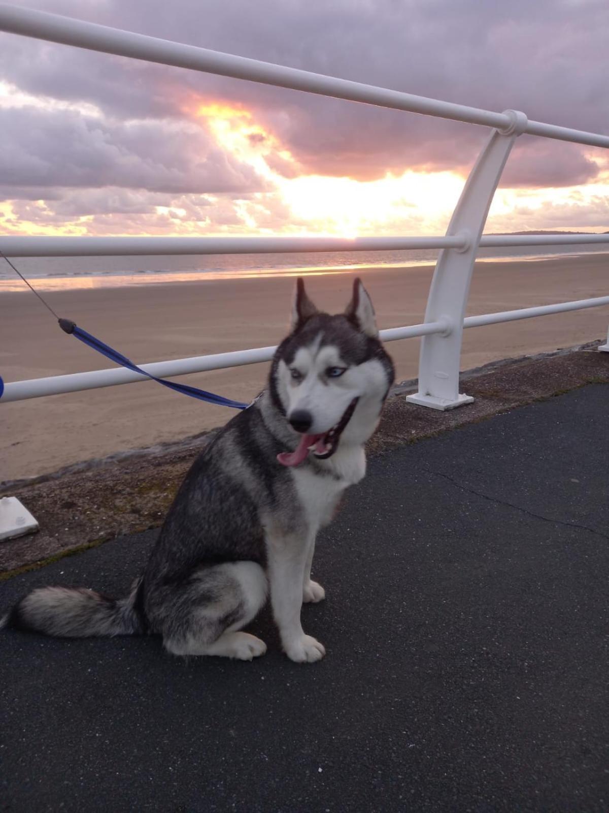 Driftmark Beachfront Location Aberavon Beach Sea Views Large Driveway Parking Private Site Fibre Optic Wi Fi Port Talbot Exteriör bild